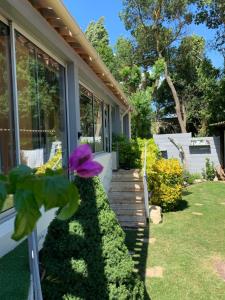 Zahrada ubytování Villa Clea