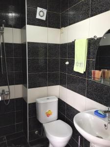 a bathroom with a toilet and a sink at Green House in Grigoleti +13 photos