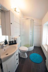 a bathroom with a shower and a toilet and a sink at Apartment Dva Oriha in Funtana