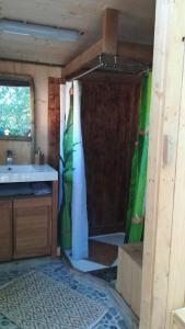 uma casa de banho com um lavatório e um chuveiro num quarto em LA CABANE PERCHEE em Villelaure