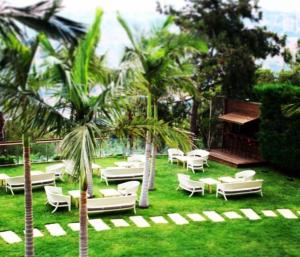 eine Gruppe von Stühlen, Tischen und Palmen in der Unterkunft Monteverde Hotel in Beit Meri