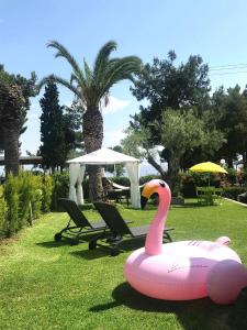 Halkidiki Trikorfo Luxury Maisonette في غيراكيني: بجعة وردية تطفو في حديقة مع الكراسي والمظلات