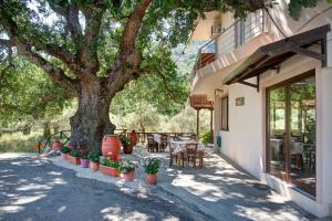 A garden outside Antartisa B&B