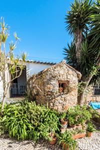 a stone house with palm trees and plants at Casa da Corredoura in Azoia