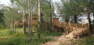 une cabane dans les arbres au milieu des bois dans l'établissement LA CABANE PERCHEE, à Villelaure