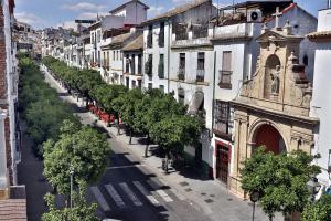 eine leere Straße mit einer Reihe von Bäumen in der Unterkunft Casa del Portillo-Centro Histórico in Córdoba