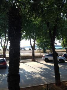 biały samochód zaparkowany na parkingu z drzewami w obiekcie Valsabbion City Suite w Puli