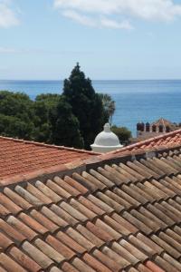 a tile roof with the ocean in the background at The Wine Lodges in Funchal