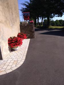 two pots of red flowers sitting next to a wall at La petite maison bleue in Lopérec