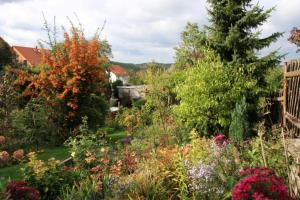 un jardin avec beaucoup de plantes et de fleurs dans l'établissement Ferienwohnungen Vier Jahreszeiten, à Thale