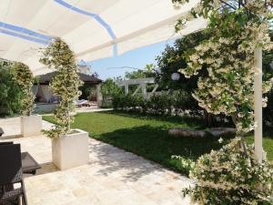 Gallery image of Marinelli Guest House in Cisternino