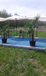 two potted plants on a blue platform with tables and umbrellas at Pensiunea Casa Vanatorului in Oţeleni