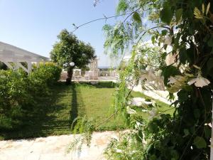 a view of the garden from the house at Marinelli Guest House in Cisternino