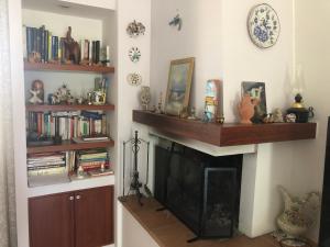 uma sala de estar com lareira e uma prateleira com livros em B&B La Palma em San Costanzo