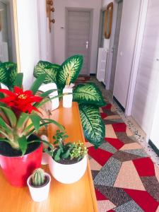 Fotografie z fotogalerie ubytování B&B dell'Amicizia v destinaci Fano