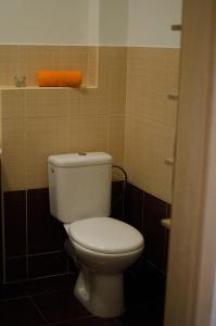 Koupelna v ubytování Apartmany a Ubytovani Mlynice Litovel