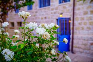 Zahrada ubytování The Way Inn - Boutique Suites