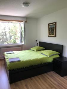Schlafzimmer mit einem Bett mit grüner Bettwäsche und einem Fenster in der Unterkunft Top of Brig in Brig