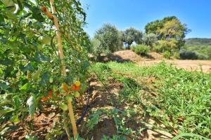 A garden outside Il Molino