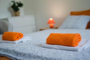 Postel nebo postele na pokoji v ubytování Apartmany a Ubytovani Mlynice Litovel