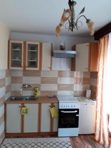 a kitchen with a sink and a stove at Studio apartman CENTAR in Ogulin