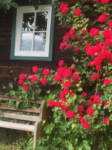 Giardino di Biobergbauernhof Bergzeit Apartment in Goldegg
