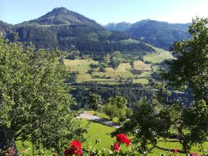 Paesaggio naturale nelle vicinanze dell'appartamento