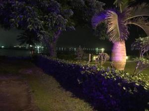 Zahrada ubytování beach house Cg7p