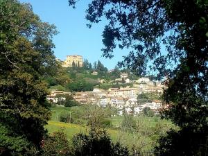 a town on top of a hill with a castle at la cana dolce in Bertinoro +30 photos