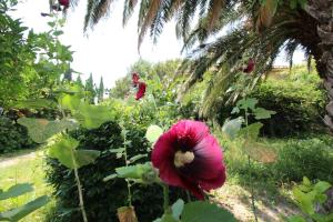 En have udenfor Apartment City Centre free parking 1&2 floor