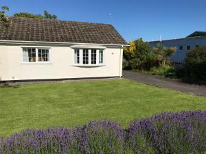 una casa blanca con flores púrpuras en el patio en Number 43 The Gower Holiday Village, en Swansea