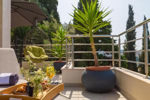 Balkón nebo terasa v ubytování Luxury Apartment Mr. Perfect