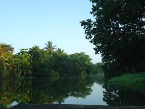 Gallery image of Hotel Veragua River House in Sierpe