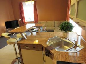 kuchnia i salon z umywalką i kanapą w obiekcie City Apartments Protos w mieście Knurów