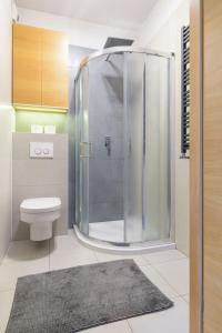 a bathroom with a shower with a toilet and a rug at Dąbrowskiego Apartment in Poznań