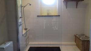 a bathroom with a shower and a toilet at Villa Tournesol in Tournai