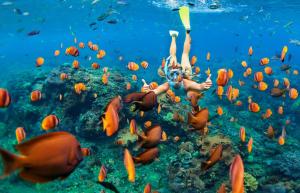 a woman swimming in the ocean with a school of fish at Mamamia Island Villa in Nusa Lembongan