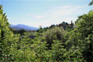 a view through the trees of a town at Studios Corte Restonica in Corte