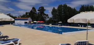 a large swimming pool with chairs and umbrellas at Casa Azul in Avis