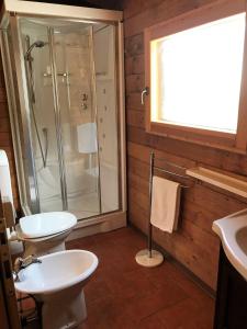 Apecchio的住宿－Baita Rosa，带淋浴、卫生间和盥洗盆的浴室