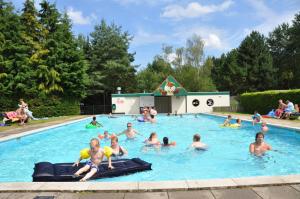 a group of people swimming in a swimming pool at BH Dommeldal Mobile home in Valkenswaard