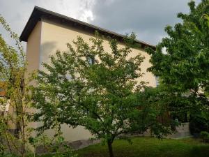 Zahrada ubytování Ferienwohnung am Zeulenrodaer Meer