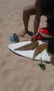 um homem de pé numa prancha de surf na praia em ONUBA golf, sea & sun em El Portil