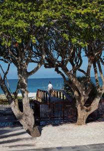 a man standing on a bench next to some trees at Zota Beach Resort in Longboat Key