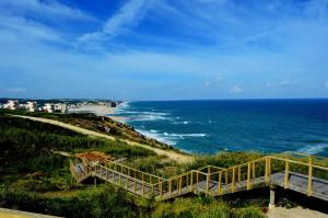 a wooden walkway leading down to the beach at Bordallo's Lodge in Caldas da Rainha