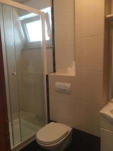 a bathroom with a toilet and a glass shower at Apartments Villa Astra & Pinija in Brela