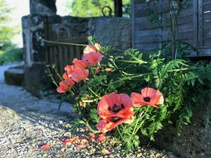 Afbeelding uit fotogalerij van La Porcherie in Lacam-dʼOurcet