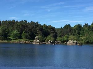 a lake with rocks in the middle of a forest at Les roddiers in Neuville