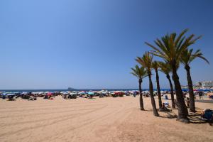 Plaża w apartamencie lub w pobliżu