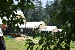 a group of tents in a field with trees at My Manali Adventure in Jibhi